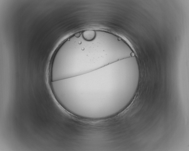 X0000111801139200907230950