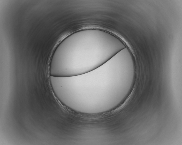 X0000111801145200907230950