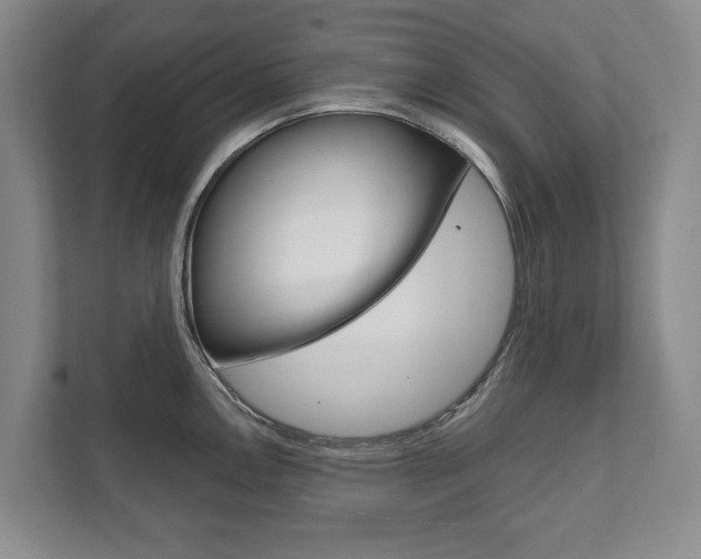 X0000111801146200907230950