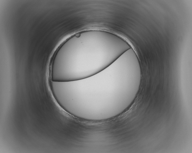 X0000111801147200907230950