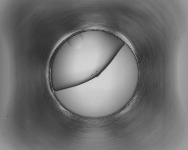 X0000111801149200907230950