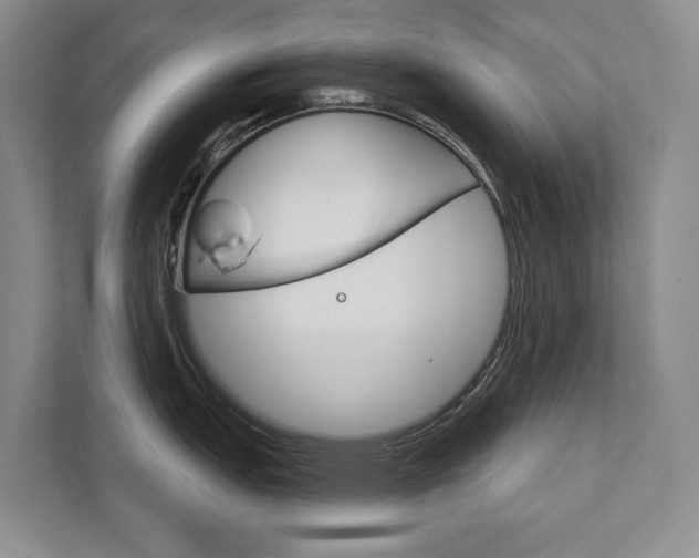 X0000111801151200907230950