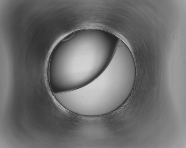 X0000111801152200907230950