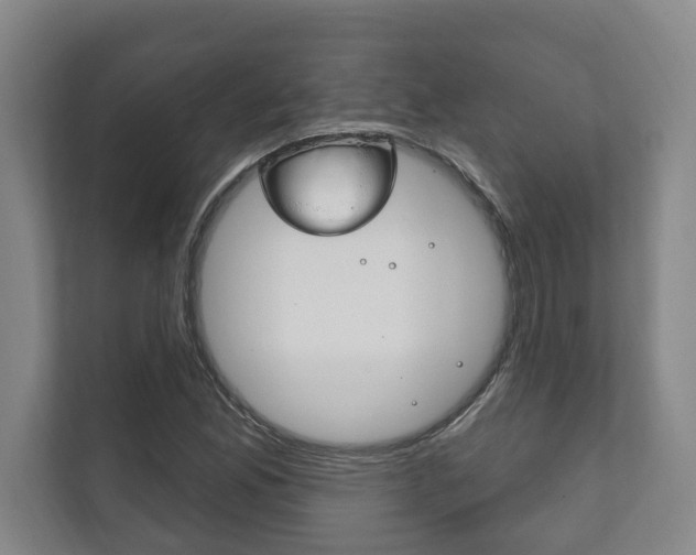X0000111801165200907230949
