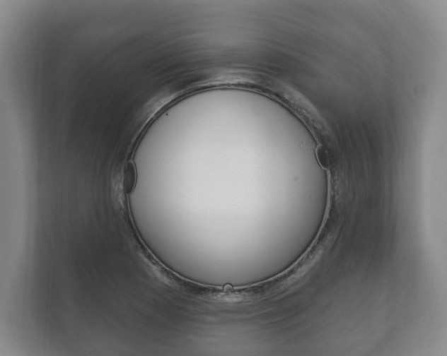 X0000111801177200907230949