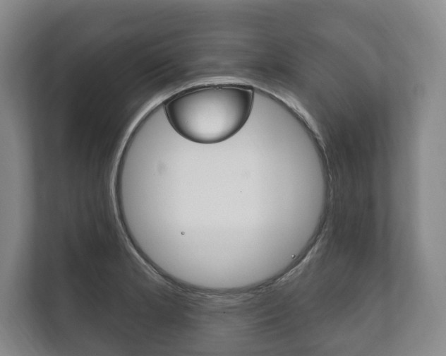 X0000111801181200907230949