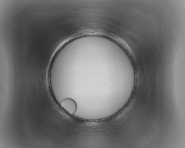 X0000111801182200907230949