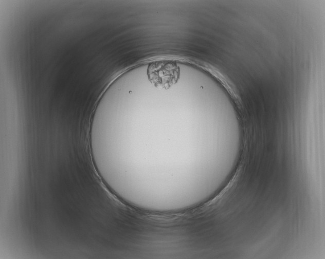 X0000111801185200907230949