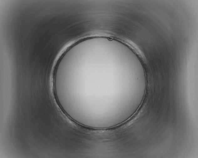 X0000111801188200907230949
