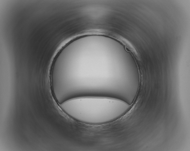 X0000111801192200907230949