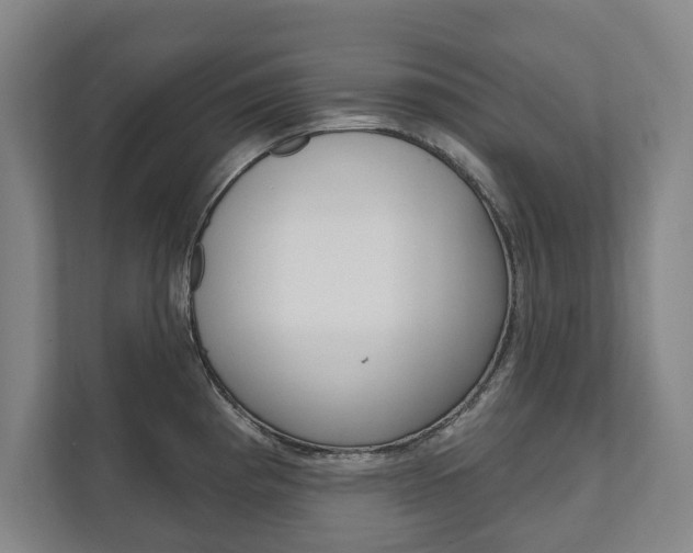 X0000111801193200907230949