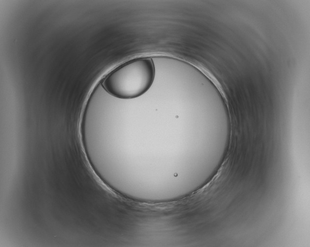 X0000111801197200907230949