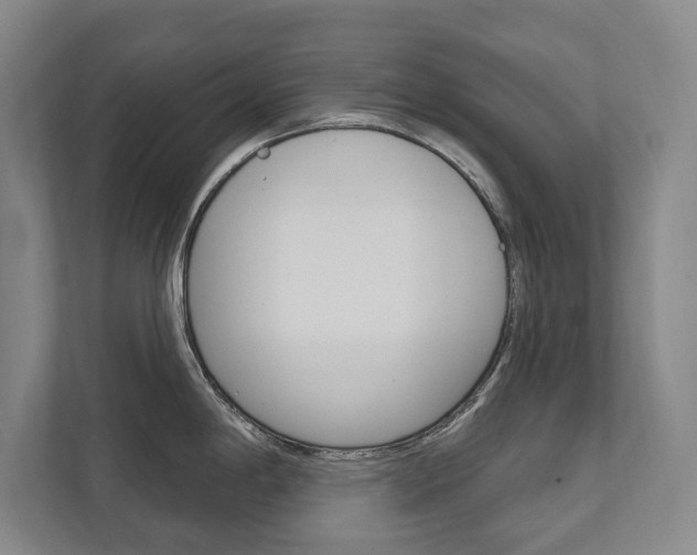 X0000111801198200907230949