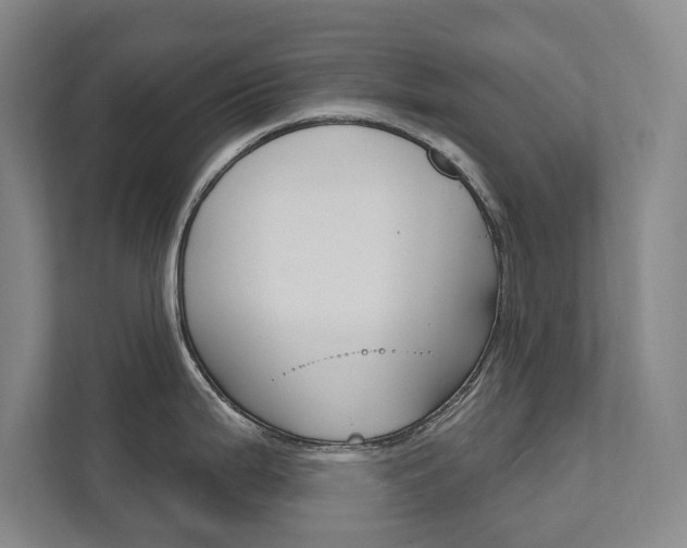 X0000111801199200907230949