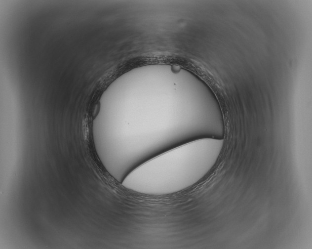 X0000111801204200907230948