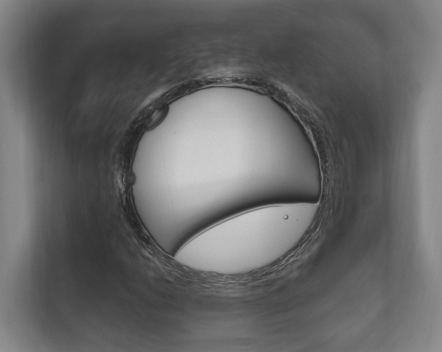 X0000111801206200907230948