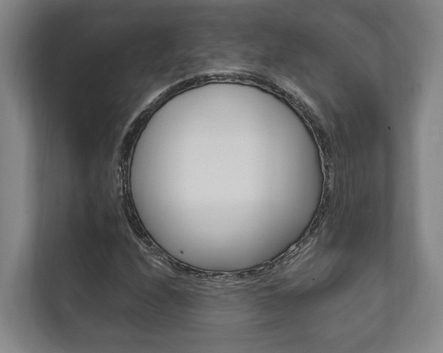 X0000111801208200907230948