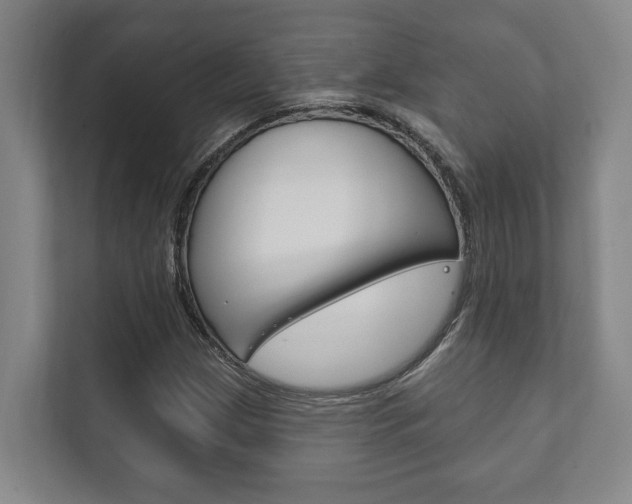 X0000111801209200907230948