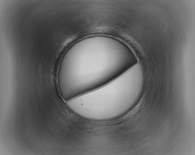 X0000111801210200907230948