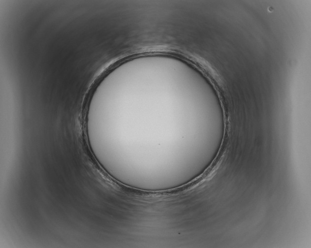X0000111801212200907230948