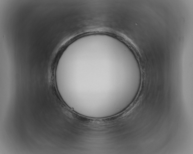 X0000111801215200907230948