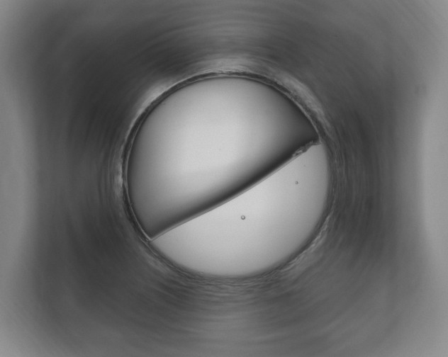 X0000111801226200907230948