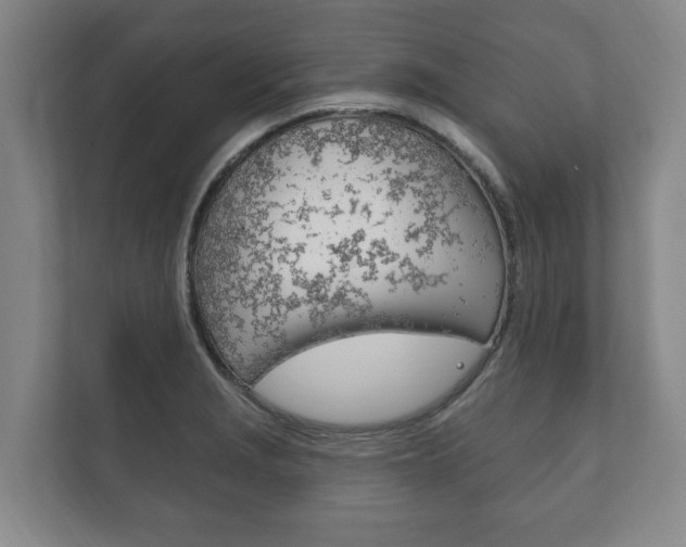 X0000111801229200907230948