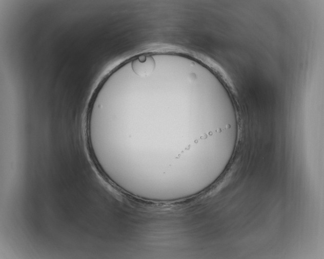 X0000111801231200907230948