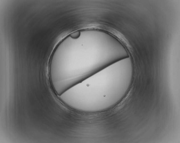 X0000111801234200907230948
