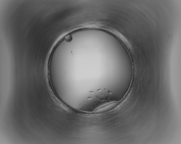 X0000111801240200907230948