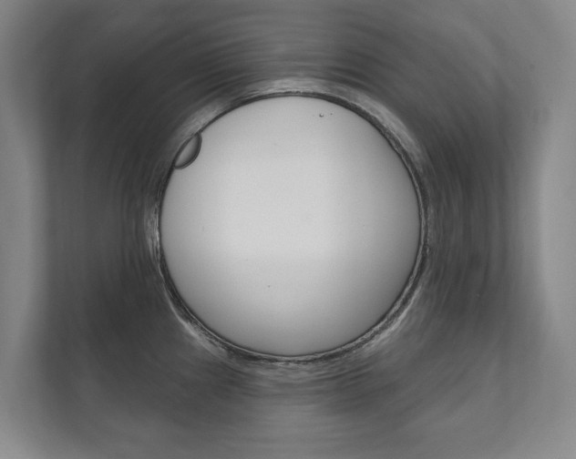 X0000111801241200907230948