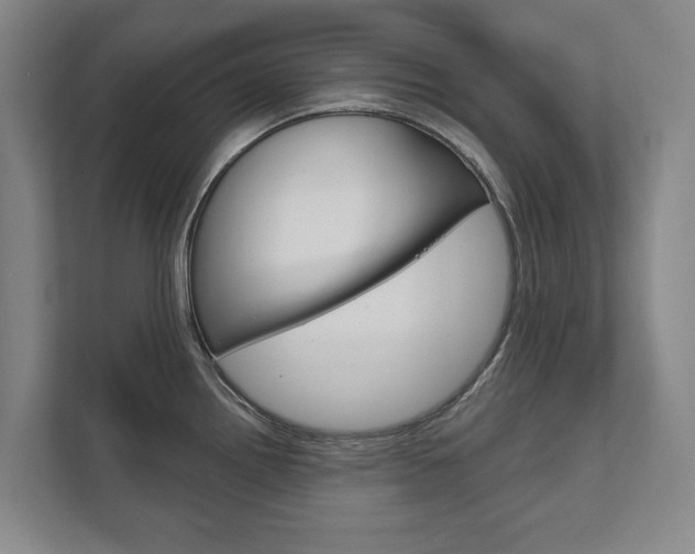 X0000111801242200907230948