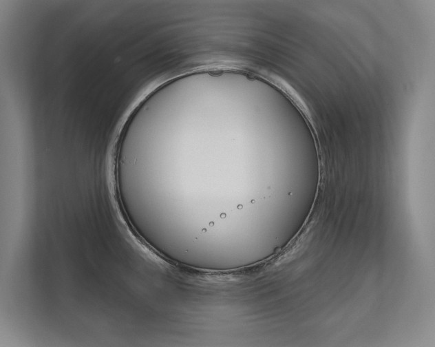 X0000111801243200907230948