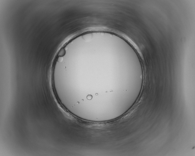 X0000111801245200907230948