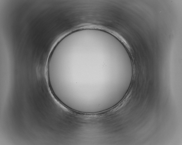 X0000111801247200907230948