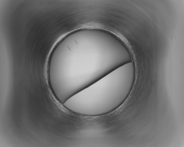 X0000111801248200907230948