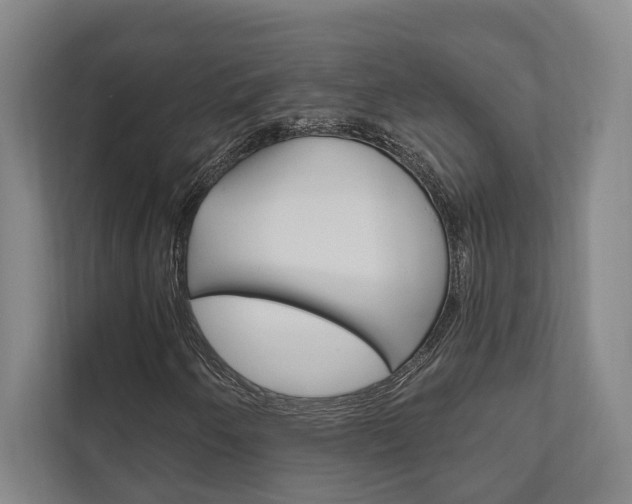 X0000111801250200907230948