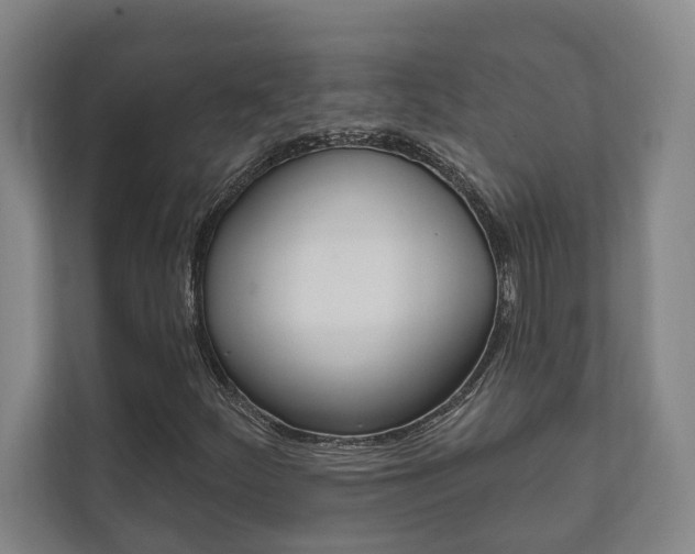 X0000111801252200907230948