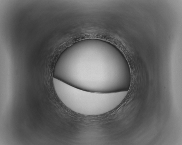 X0000111801253200907230948