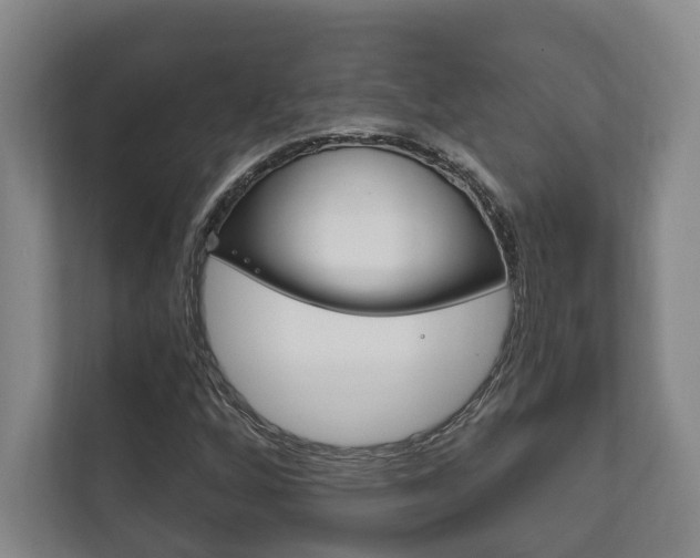 X0000111801256200907230948