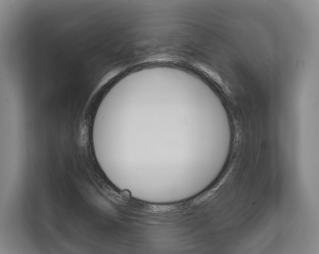 X0000111801258200907230948