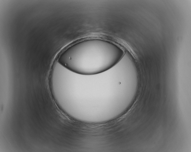 X0000111801260200907230948