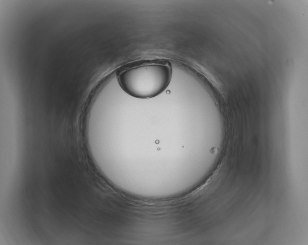 X0000111801261200907230948