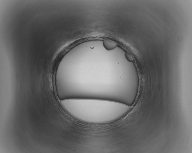 X0000111801262200907230948