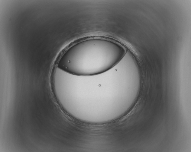 X0000111801264200907230948