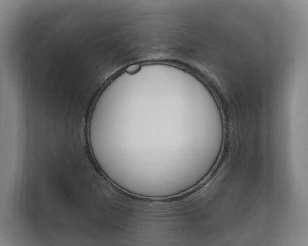 X0000111801265200907230948