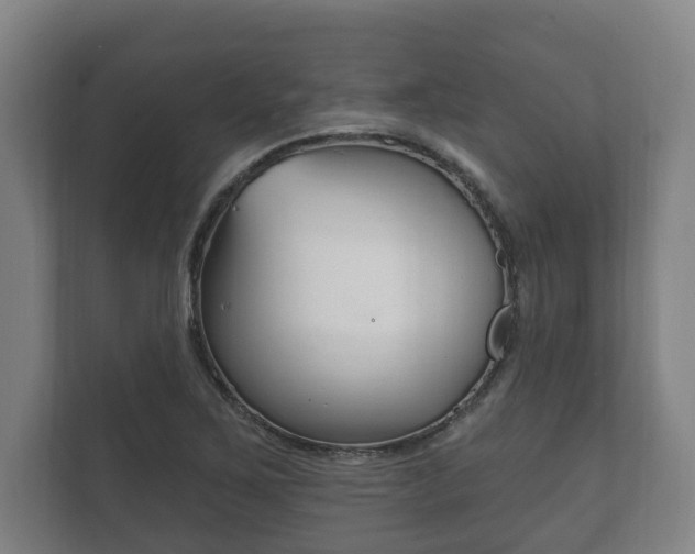 X0000111801267200907230948