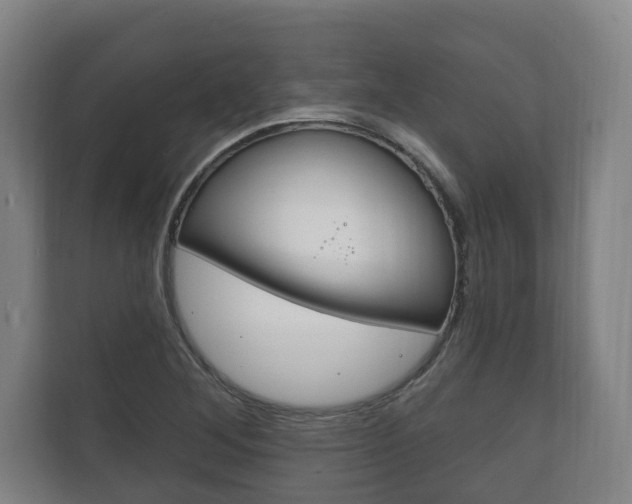 X0000111801268200907230948