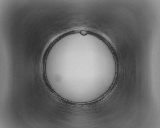X0000111801270200907230948