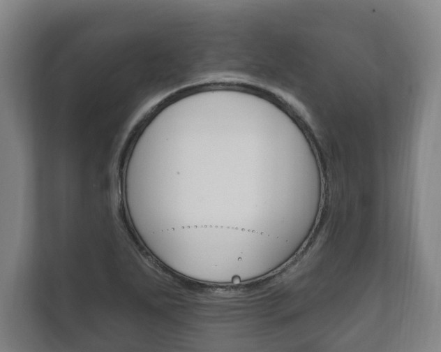 X0000111801271200907230948